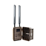 Balever PRO EDITION R‑60 — профессиональная 4G‑фотоловушка с узким углом 60° и дальностью срабатывания до 35 м